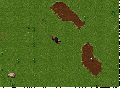 Avatar of Balance Preview2.gif