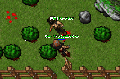 Thumbnail for version as of 20:27, 19 September 2025