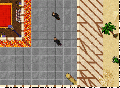 Ms shadowdrown.gif