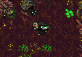 Thumbnail for version as of 00:12, 1 July 2026